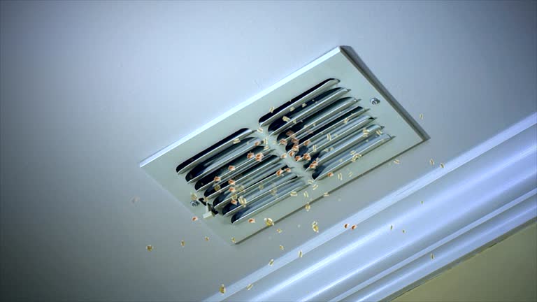 Best Ductwork Cleaning Services  in Meridian, PA